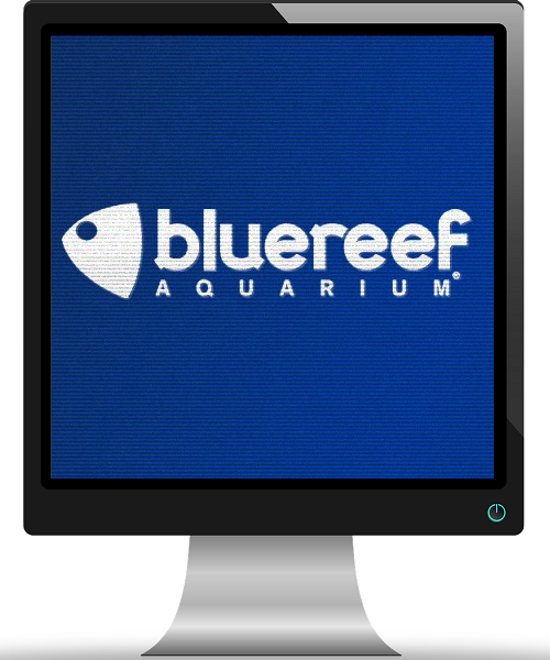 Virtual Portsmouth - Blue Reef icon